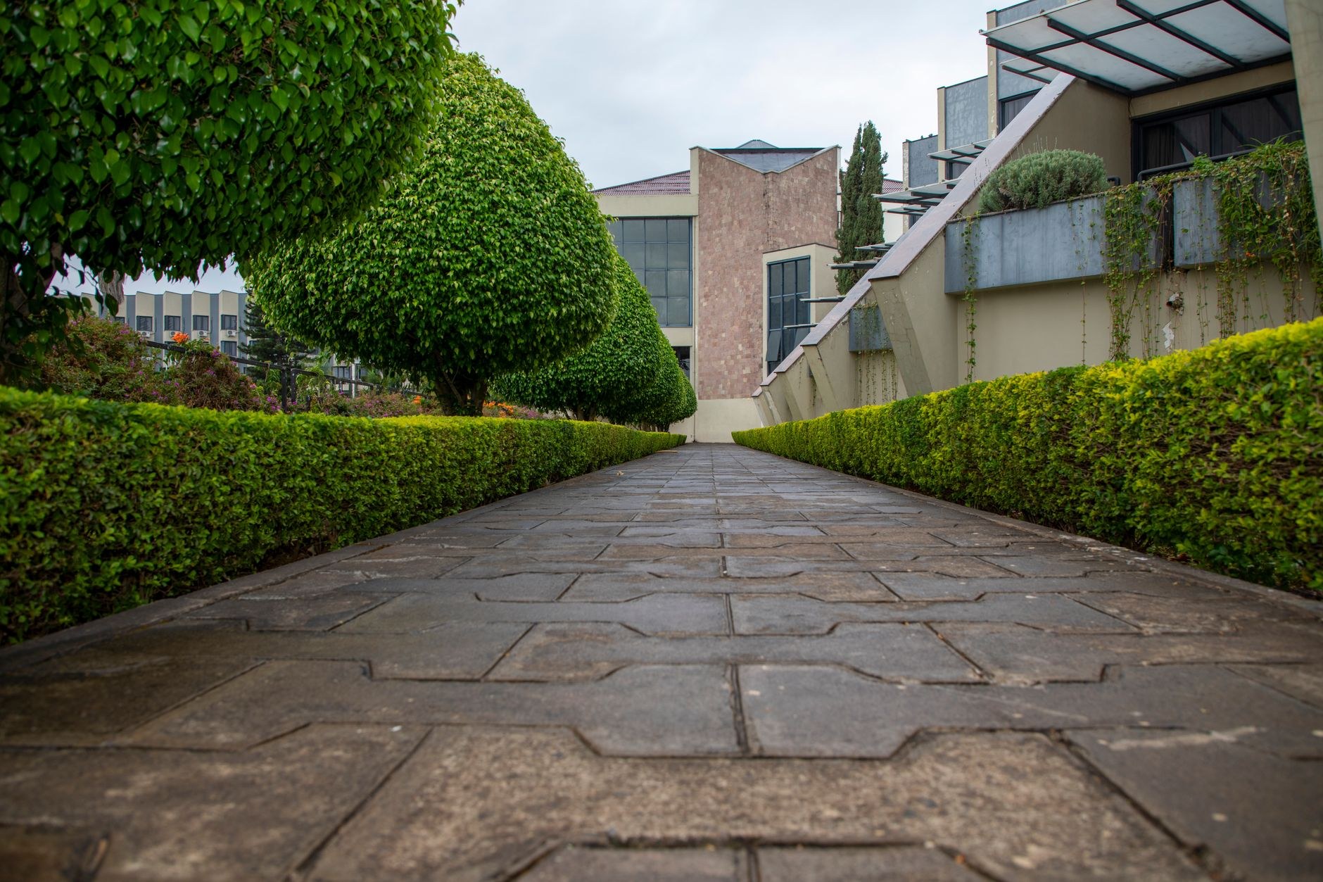 Stone and turf