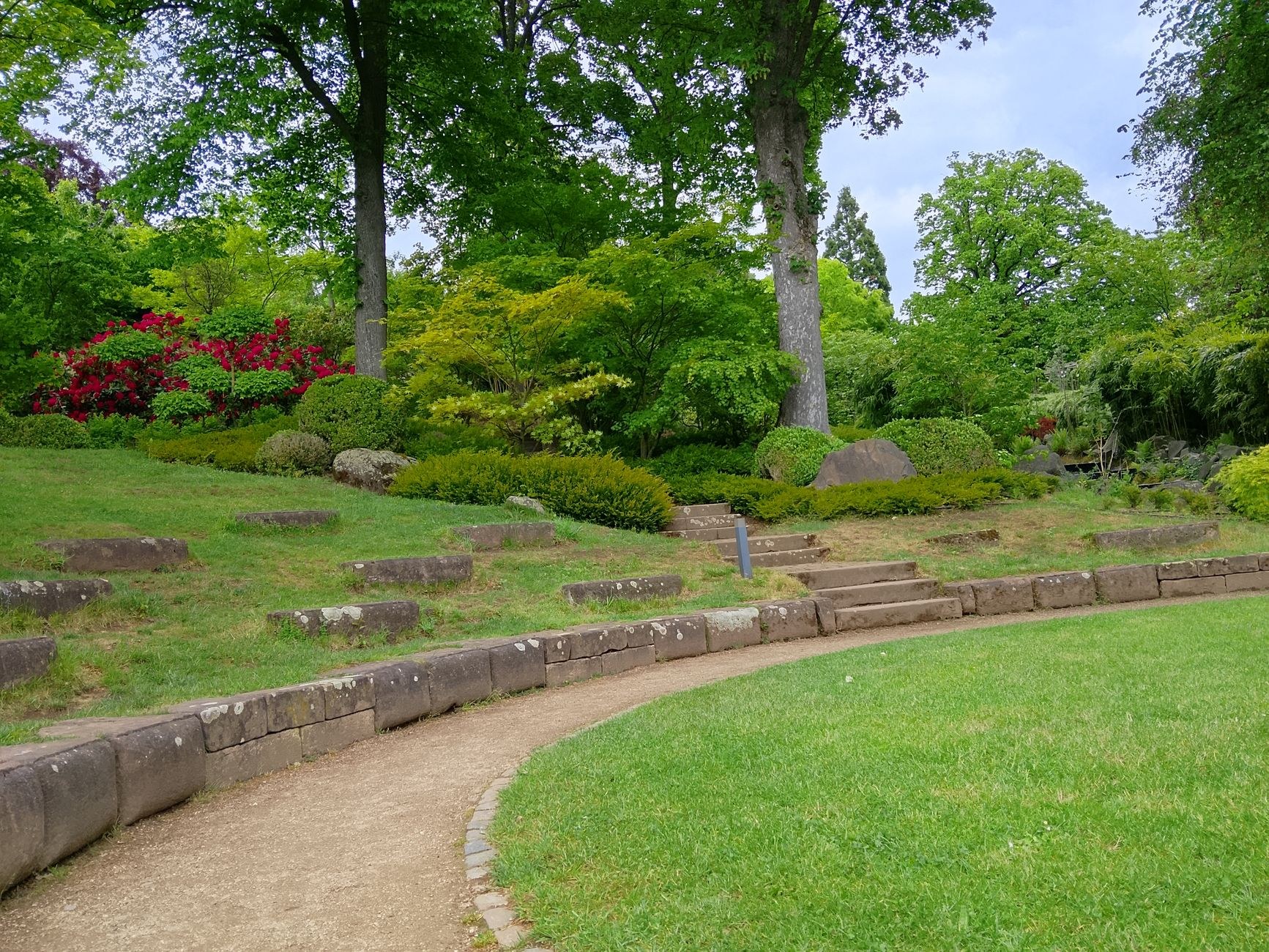 Curved lawn edged by a low stone retaining wall with azaleas and mature planting